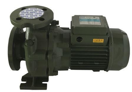 Насосный агрегат моноблочный фланцевый SAER IR 32-125A в Воронеже 